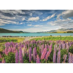 Clementoni: Lupins at Lake Tekapo (1500)