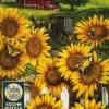 Cobble Hill: Country Paradise (500)