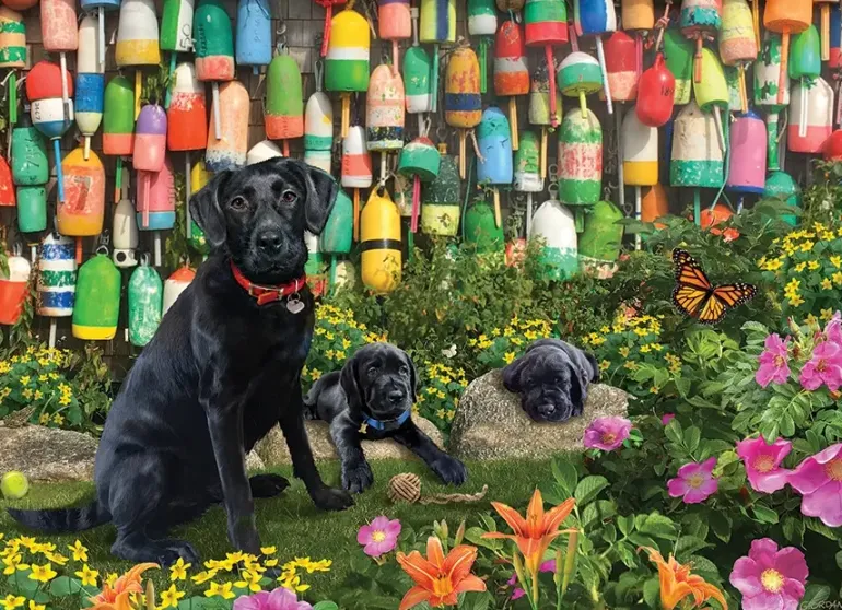 Cobble Hill: Good Buoys (500)