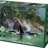 Cobble Hill: Orcas (1000)