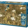 Cobble Hill: Queen Anne's Lace and American Goldfinch (500)