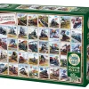 Cobble Hill: Railroads of America (1000)