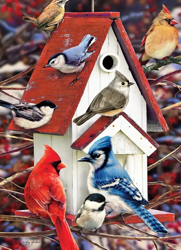 Cobble Hill: Winter Birdhouse (500)