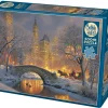 Cobble Hill: Winter in the Park (500)