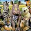Educa: It's a Class Photo (1000)