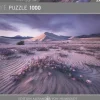 Heye: Humboldt - Arrow Dynamic (1000)