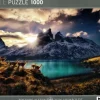 Heye: Humboldt - Guanacos (1000)