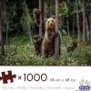 Peliko: Björnfamiljen (1000)