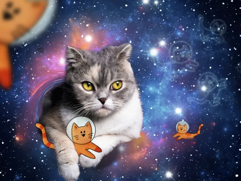 Ravensburger: Cats in Outer Space (1500)