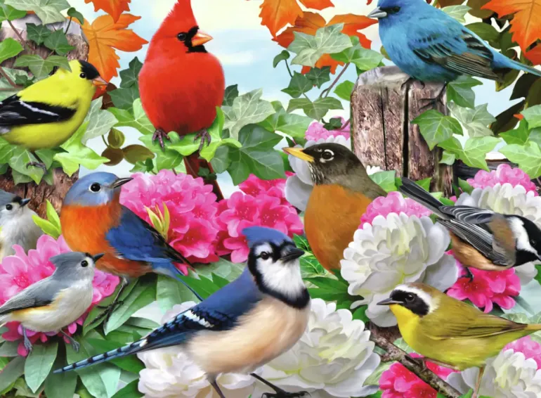 Ravensburger: Garden Birds (500)