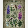 Ravensburger: Toxic Plants (1000)