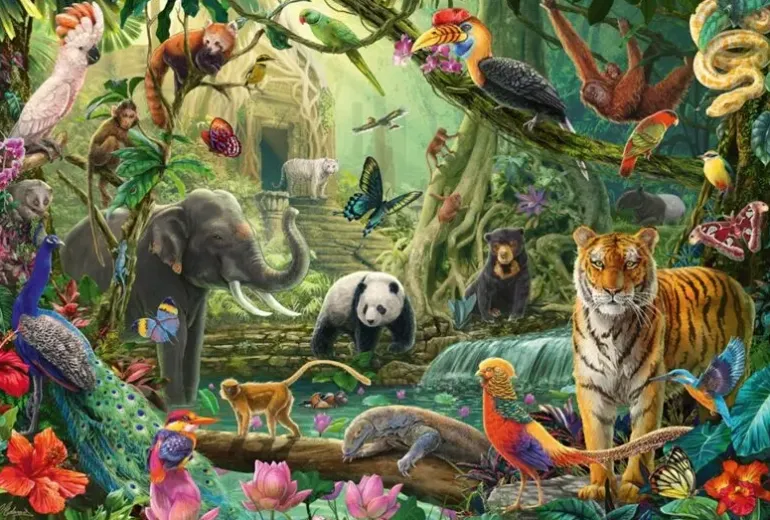 Schmidt: Colourful Jungle Wildlife (100)