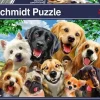 Schmidt: Dog Selfie (500)