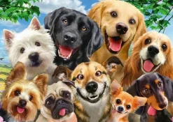 Schmidt: Dog Selfie (500)