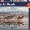 Schmidt: Horses in Cappadocia (1000)
