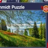 Schmidt: Tulips Flowering, Mainau Island (1000)