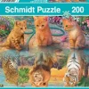 Schmidt: When I Grow Up... (200)