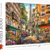 Trefl: Dominic Davison - Afternoon in Paris (2000)
